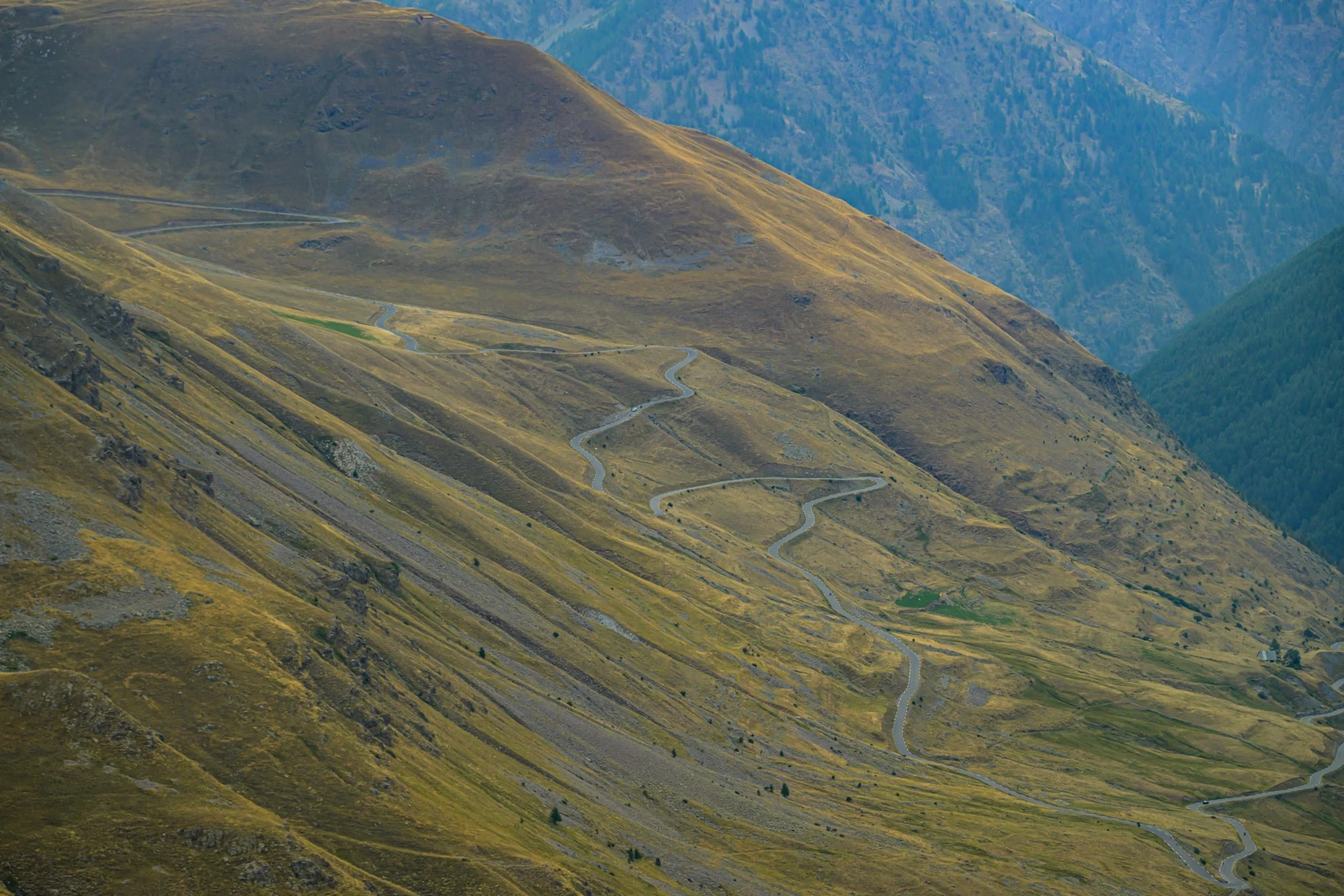 Bonette-1